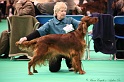 Crufts2011 303